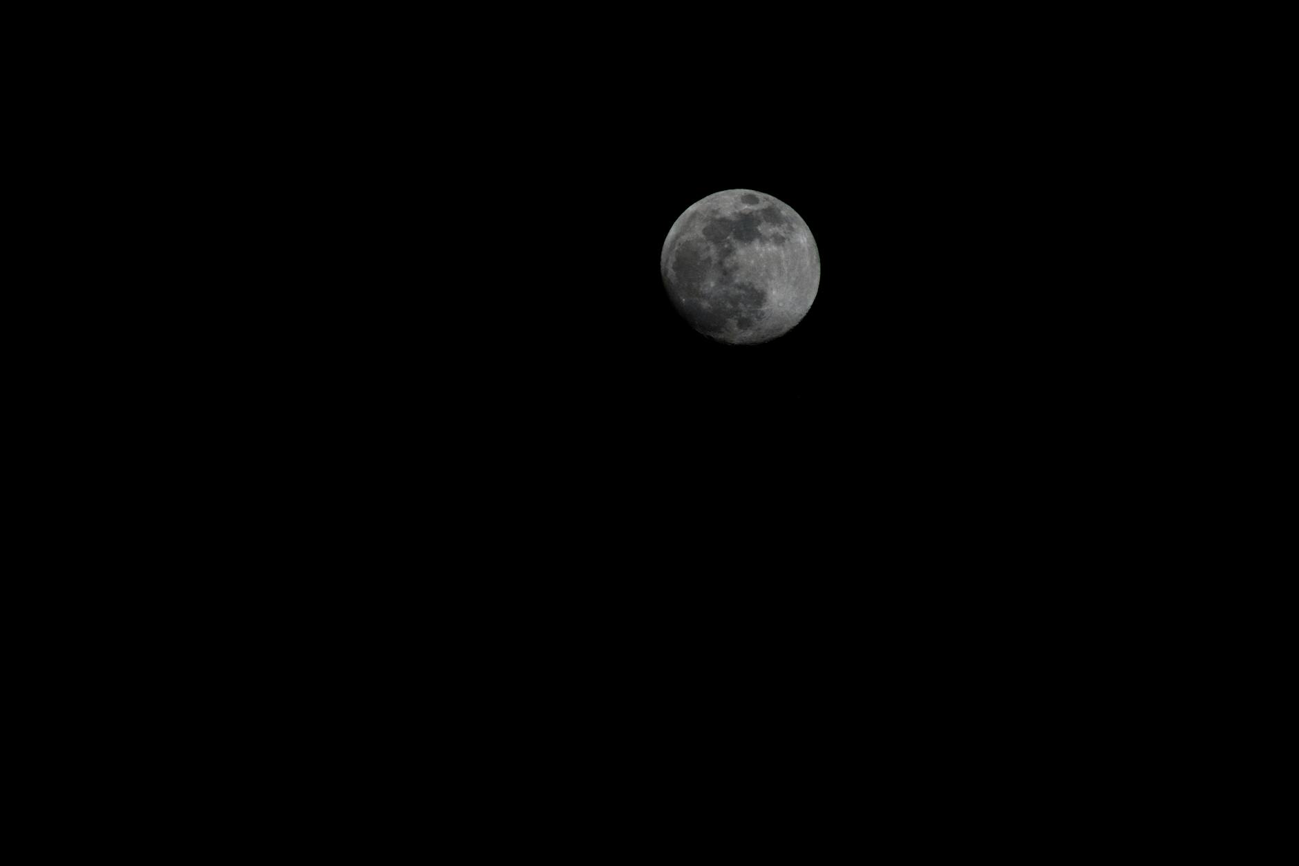 Vollmond April 2026 Pink Moon Illustration zu Vollmond April 2026 Pink Moon