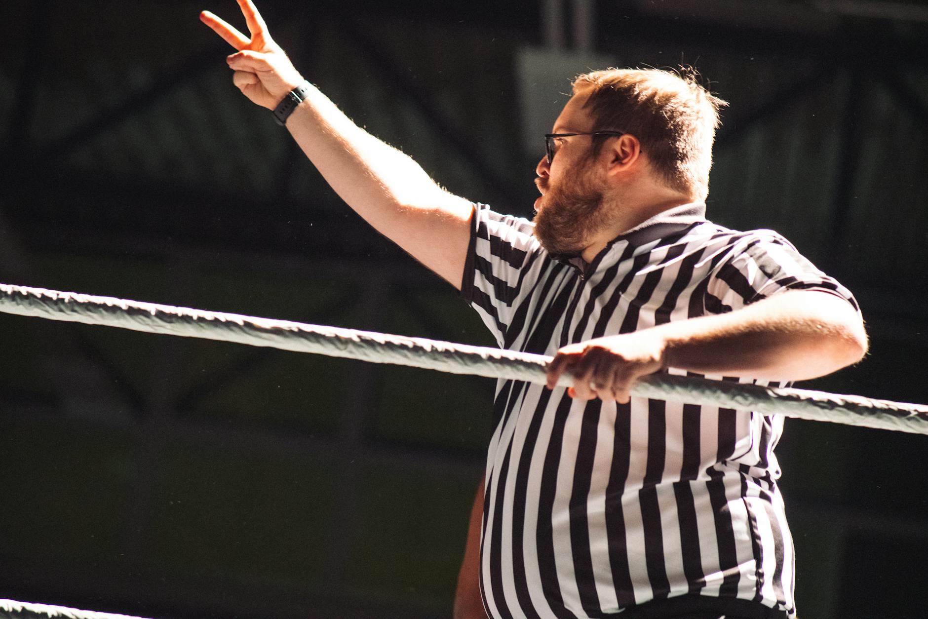Illustration zu Wwe Wrestlemania 42