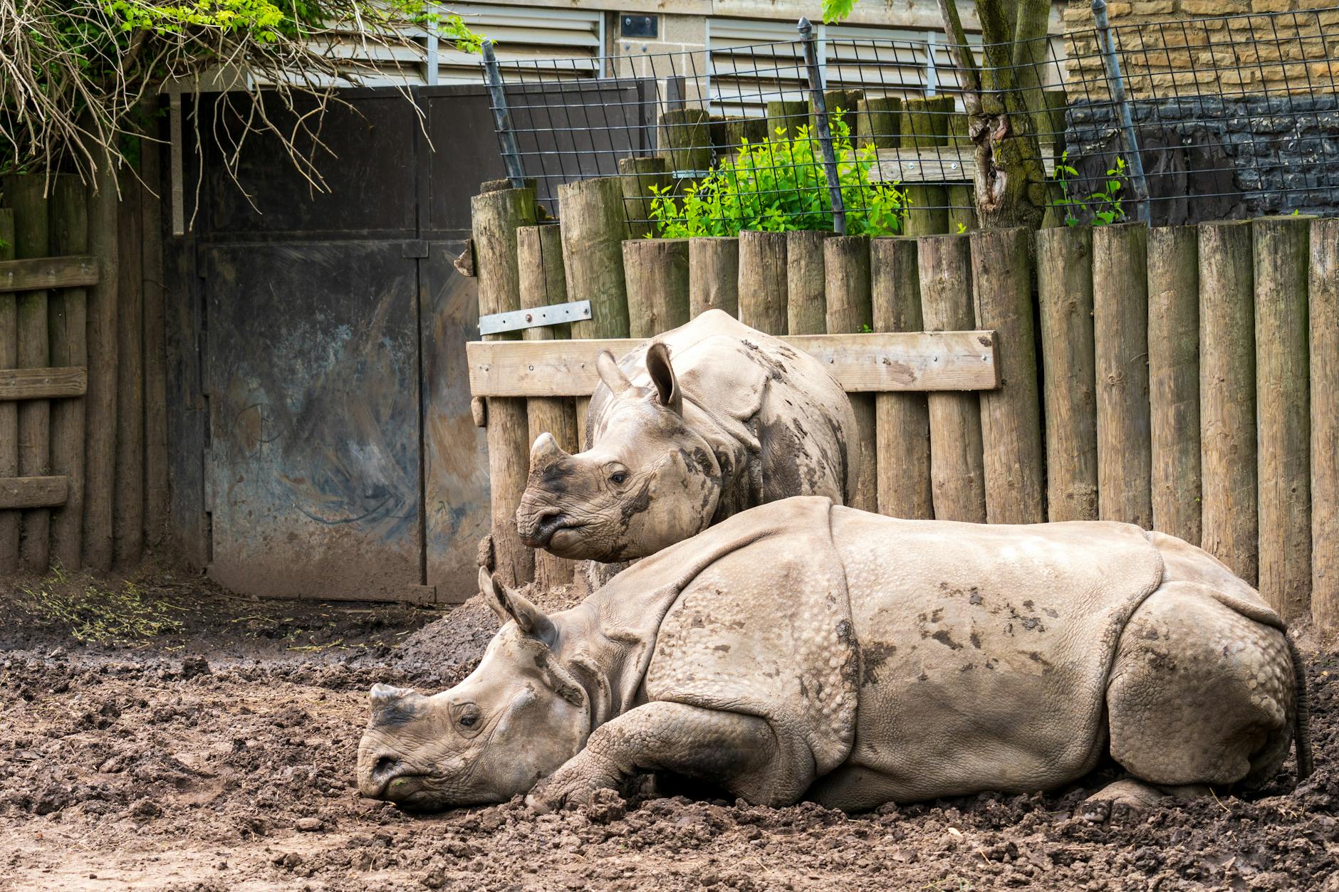 Zoo Symbolbild zum Thema Zoo