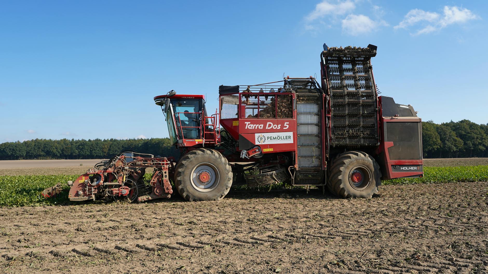 Ackerwinde Entfernen Illustration zu Ackerwinde Entfernen