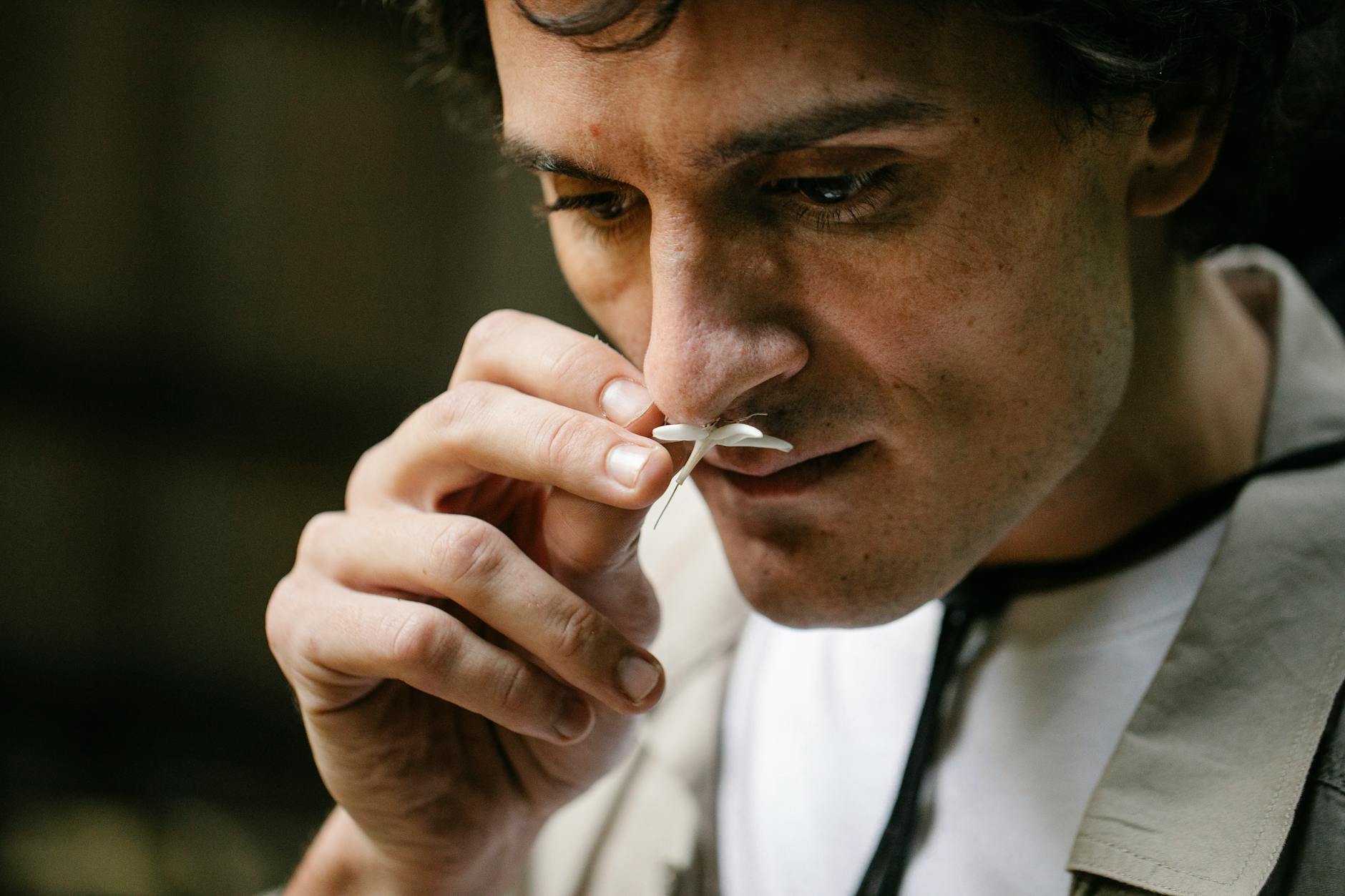 Alessandro Zanardi Illustration zu Alessandro Zanardi
