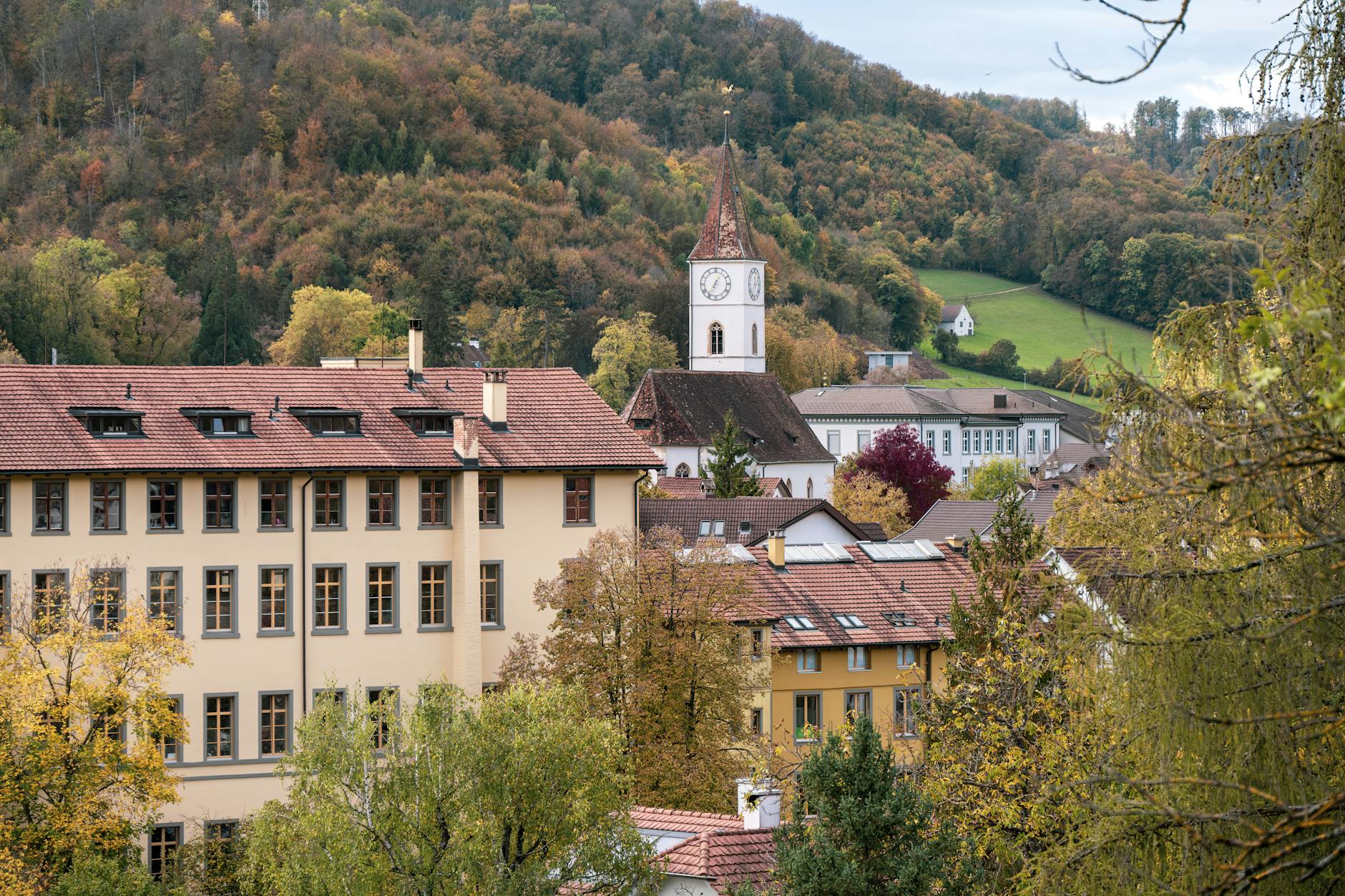 Basel-landschaft Detailansicht: Basel-landschaft