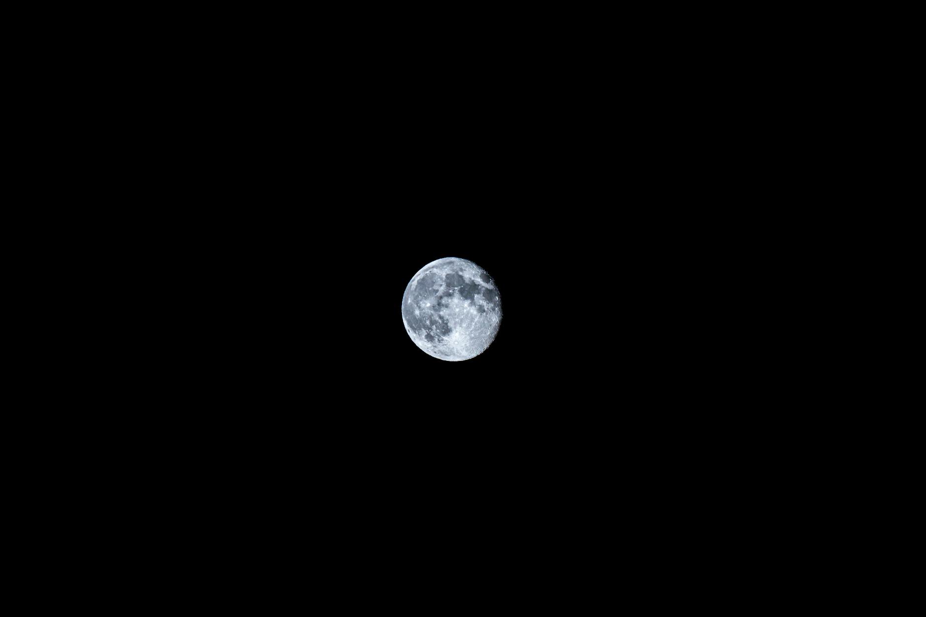 Detailansicht: Blue Moon