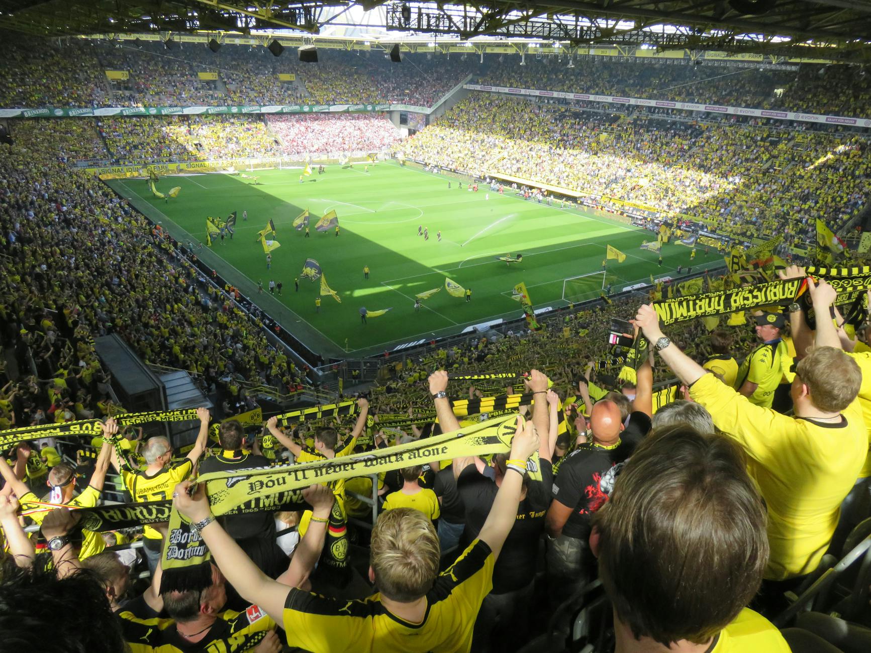 Dynamo Dresden Symbolbild zum Thema Dynamo Dresden