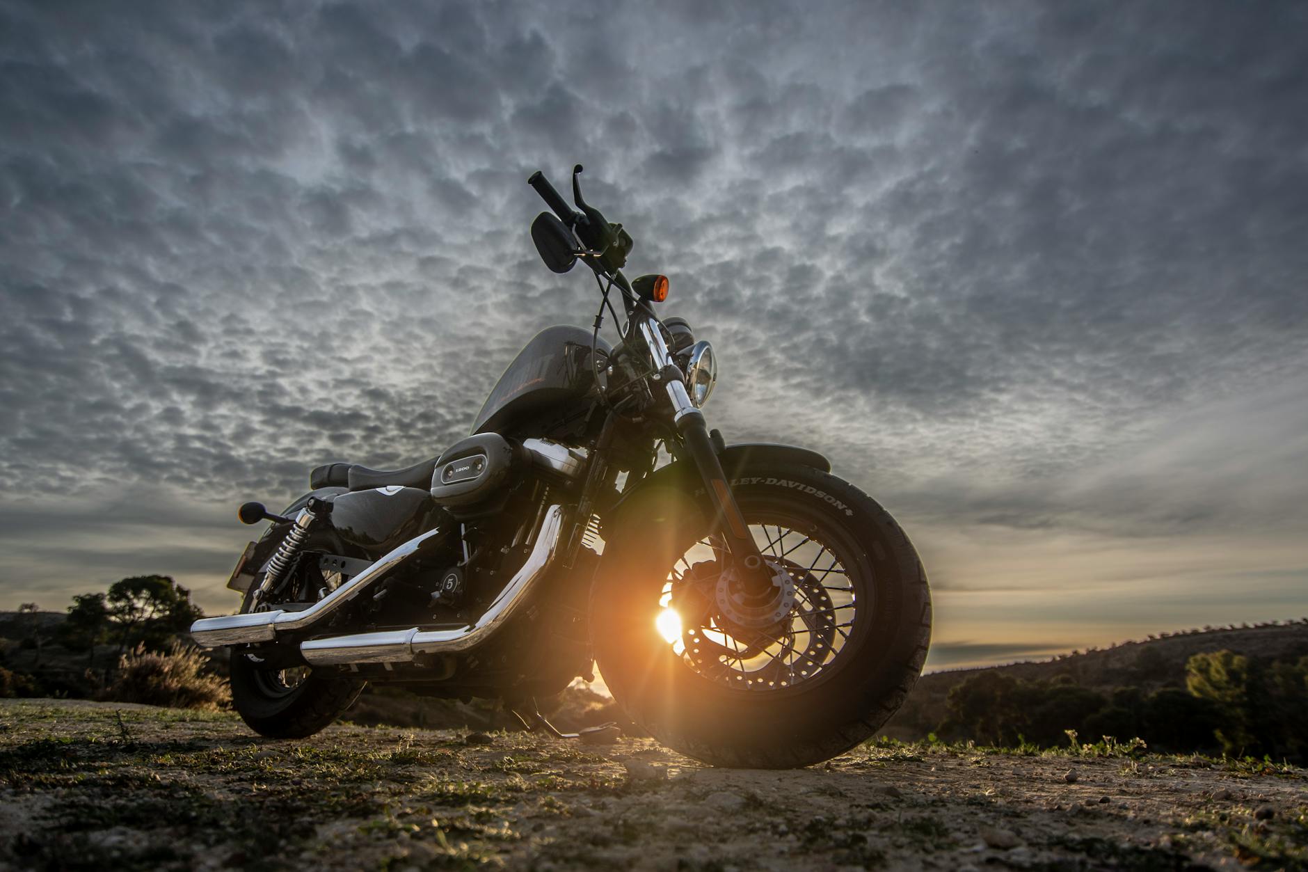 Harley Davidson Sprint Symbolbild zum Thema Harley Davidson Sprint