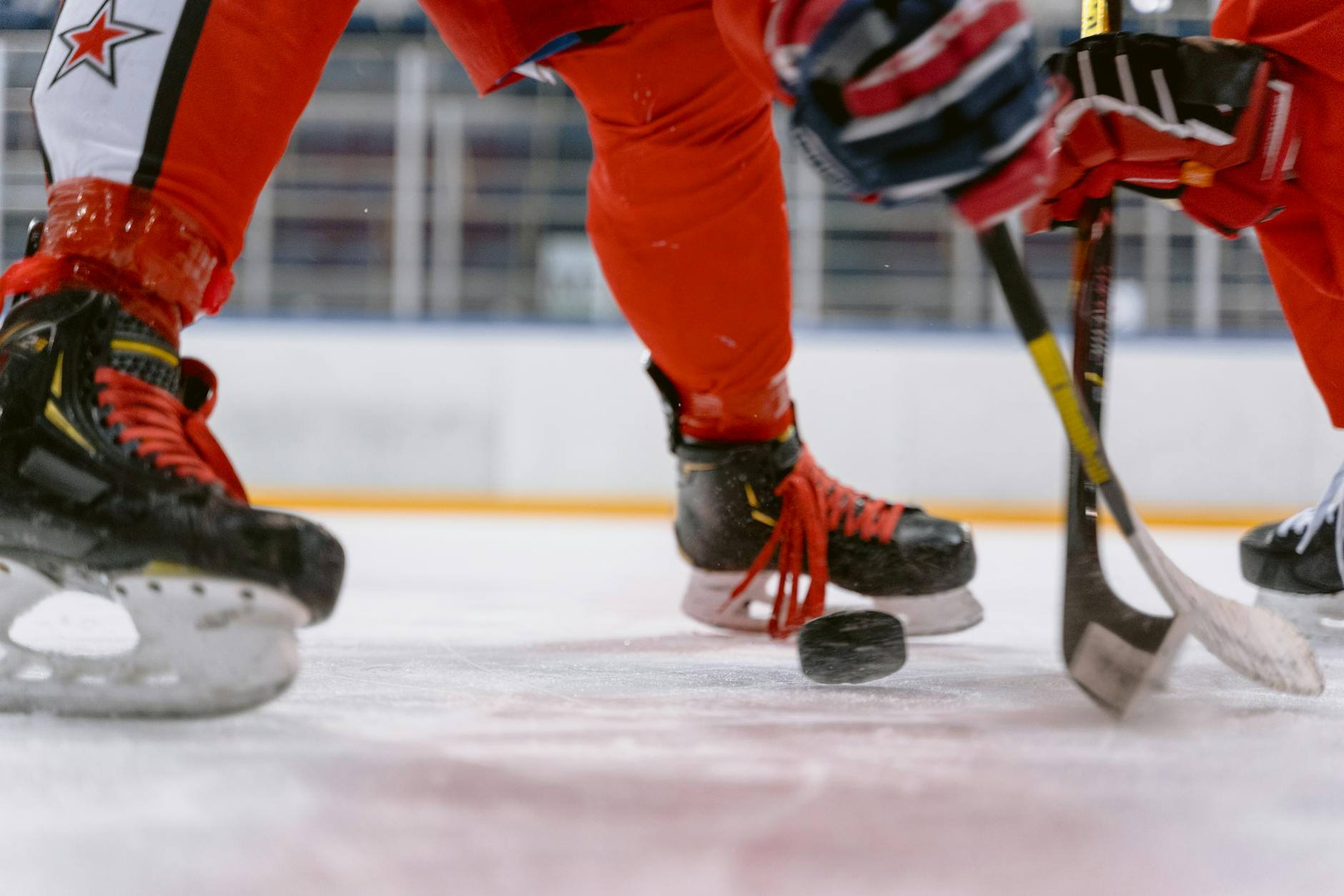 Detailansicht: Lettland Ungarn Eishockey