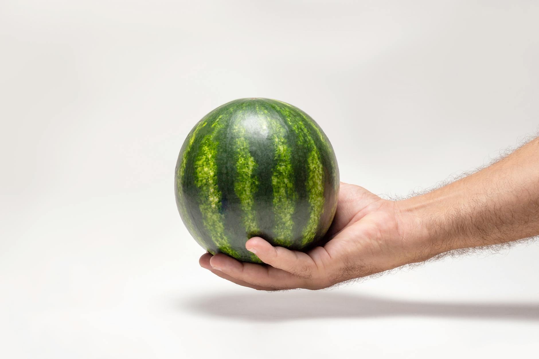 Meloni KI Bild Symbolbild zum Thema Meloni KI Bild