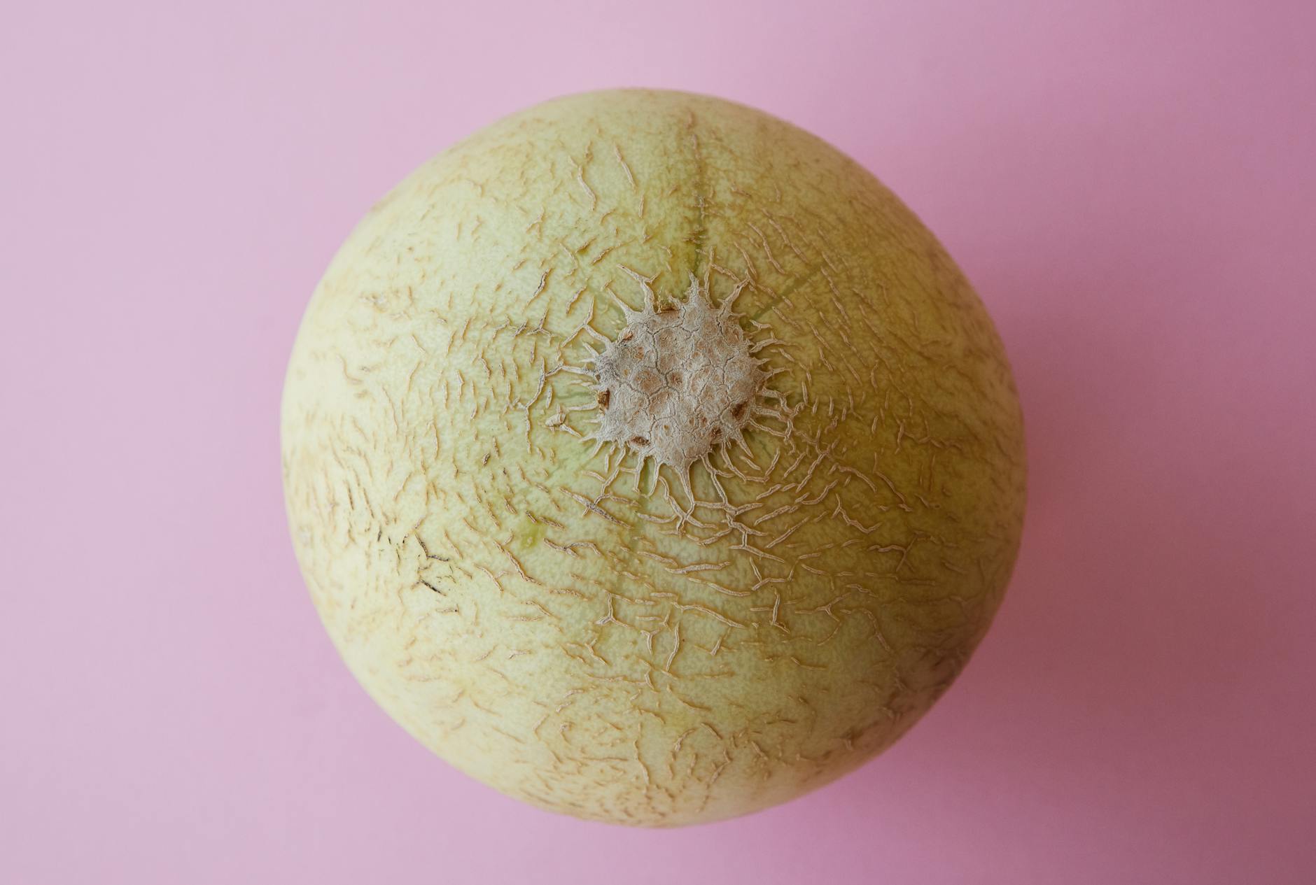Meloni KI Bild Symbolbild zum Thema Meloni KI Bild