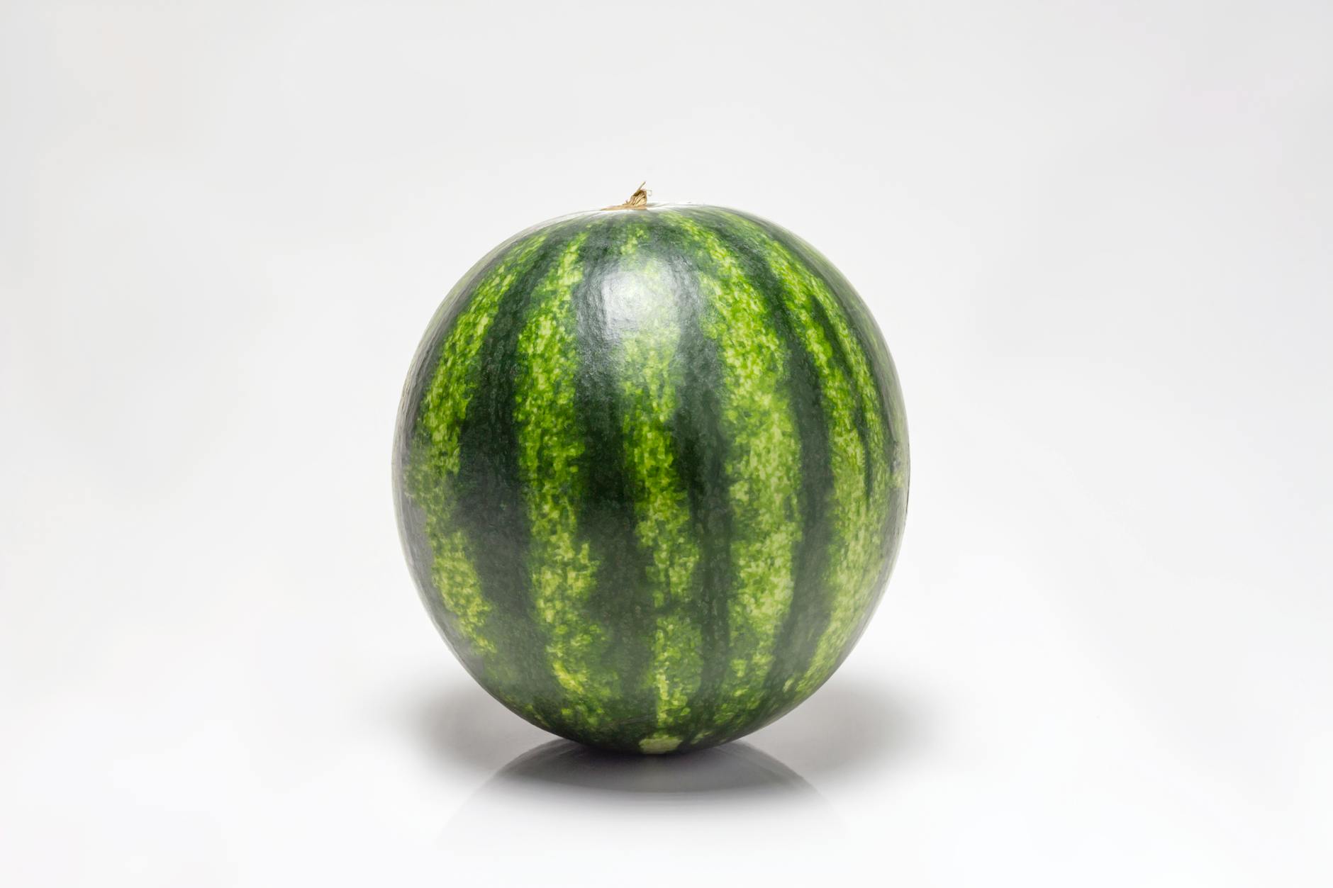 Meloni KI Bild Detailansicht: Meloni KI Bild