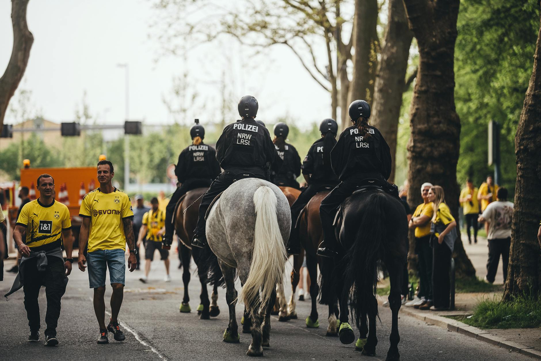 Symbolbild zum Thema Thomas Tuchel