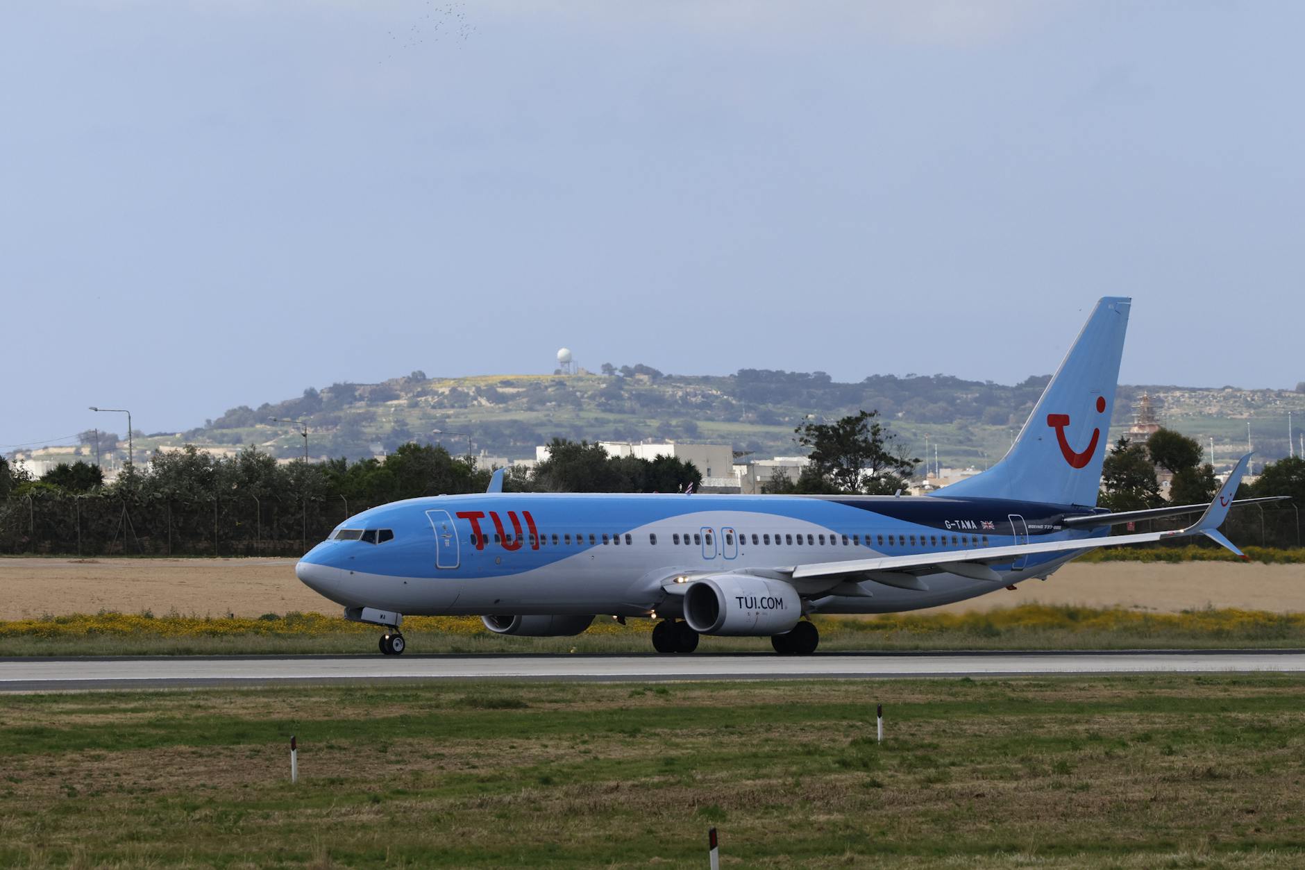 Detailansicht: Tui