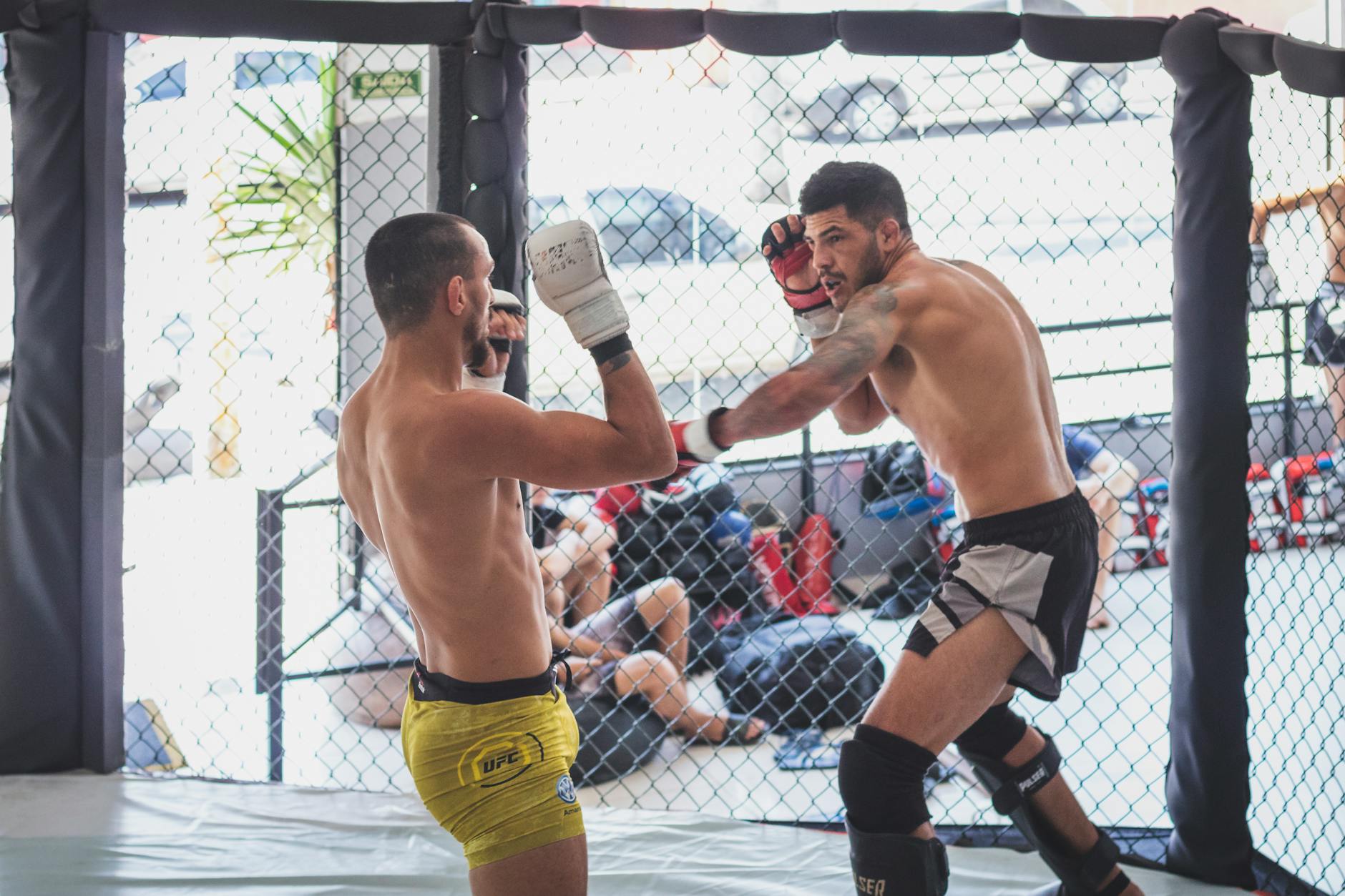 Ufc 328 Symbolbild zum Thema Ufc 328