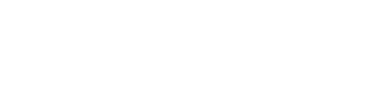 LÖTSCHER Tortechnik AG