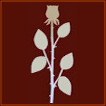 Rosenhof