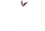Tains – mein-asiamarkt
