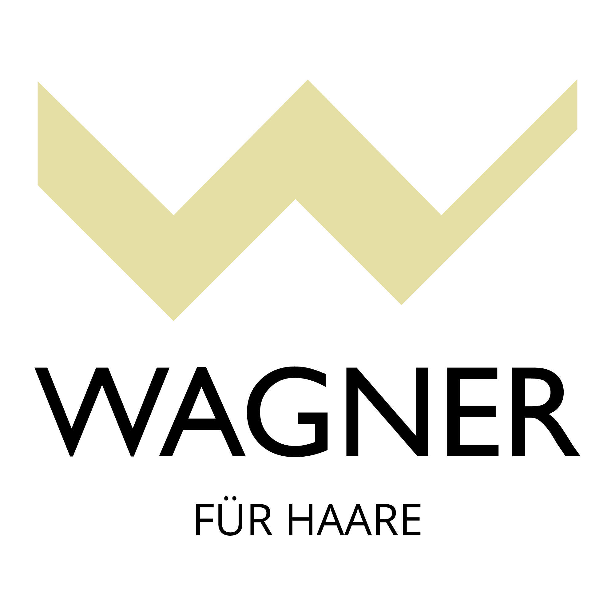 Wagner für Haare