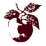 Schuch’s Restaurant