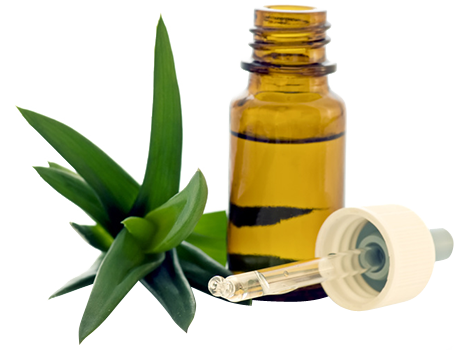 Mohren Apotheke