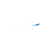 AUTO-MS