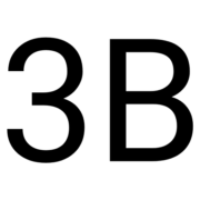 3B