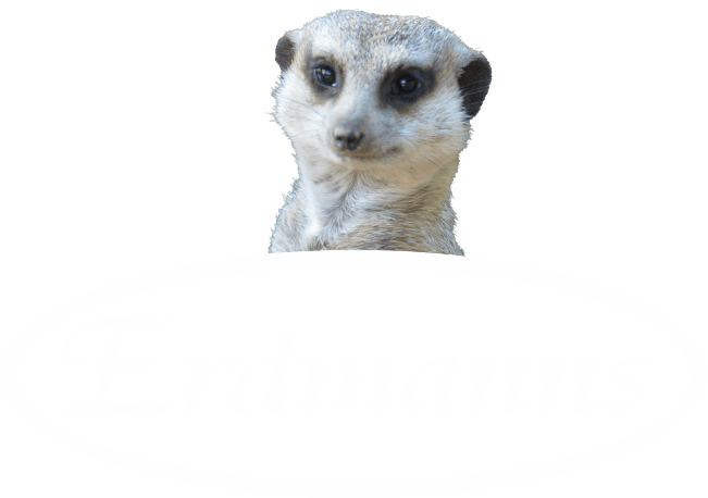 Erdmanns
