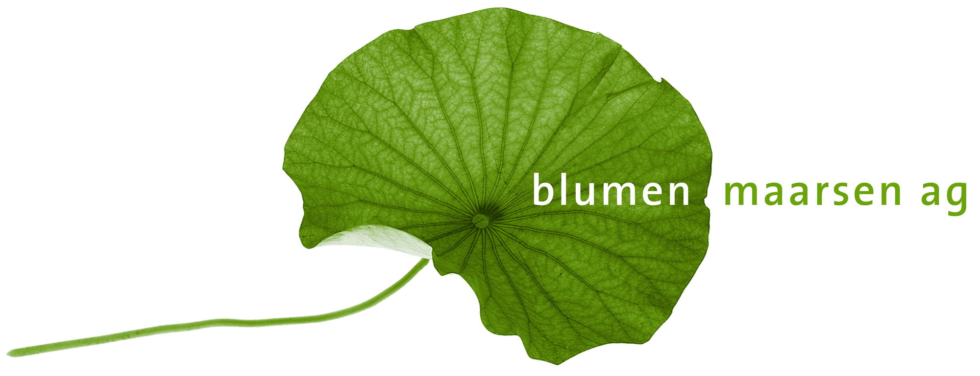 Blumen Maarsen