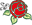 B&B Wildrose