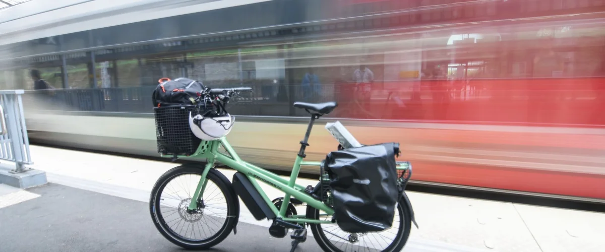 E-Bike Grundlagen: Eine Frau fährt entspannt auf einem modernen E-Bike durch eine grüne Landschaft.