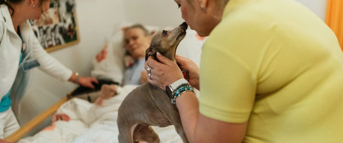 Haustier Beispiele – Vielfältige Haustier Beispiele: Eine Familie mit Hund, Katze und Kaninchen auf einer Wiese, die Freude und Verantwortung symbolisieren.