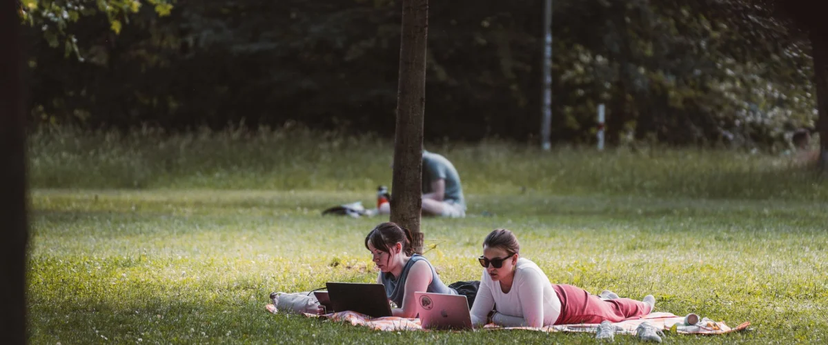 Freibeträge Tipps: Eine Person sitzt am Schreibtisch und rechnet mit einem Rechner, während sie sich Notizen zu steuerlichen Freibeträgen macht.