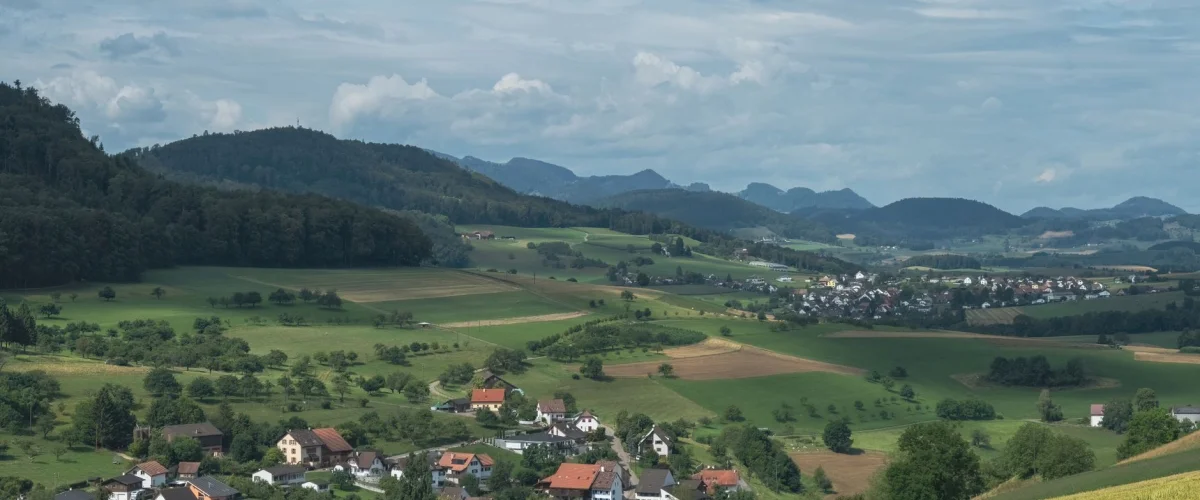 Regionalwirtschaft Ursachen – Analyse der strukturellen und demografischen Herausforderungen in der regionalen Ökonomie.