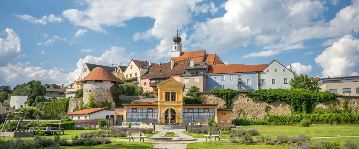 Studieren in Österreich beantragen – Eine junge Frau sitzt lächelnd vor einem Laptop und bereitet sich darauf vor, ihr Studium in Österreich zu beantragen, mit Notizen und Büchern.